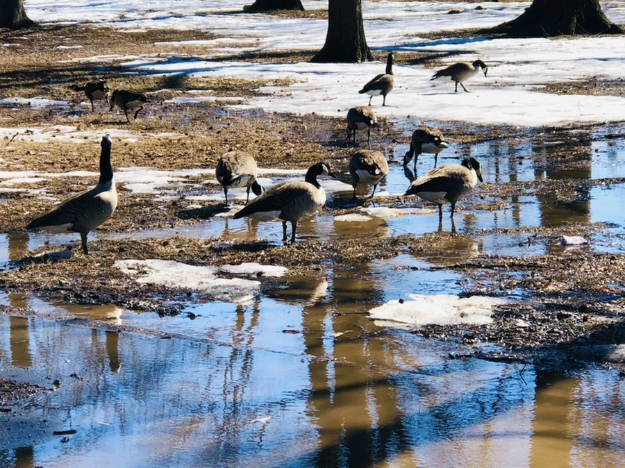 IMG_4993.jpg?type=w966