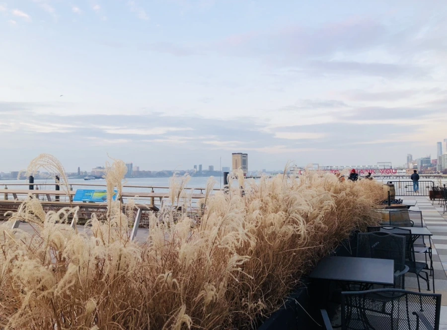 IMG_3077.jpg?type=w966