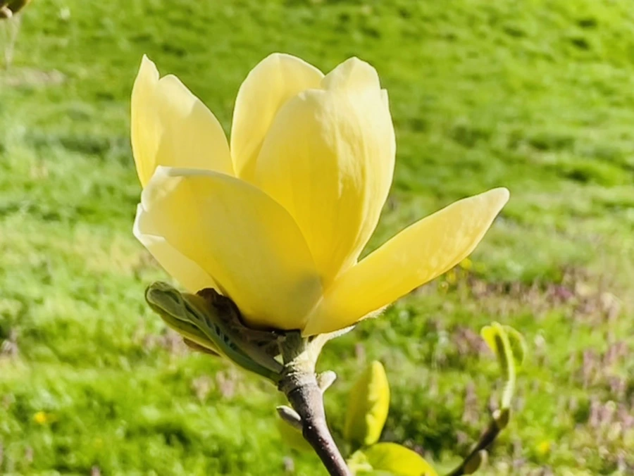 IMG_1592.jpg?type=w966