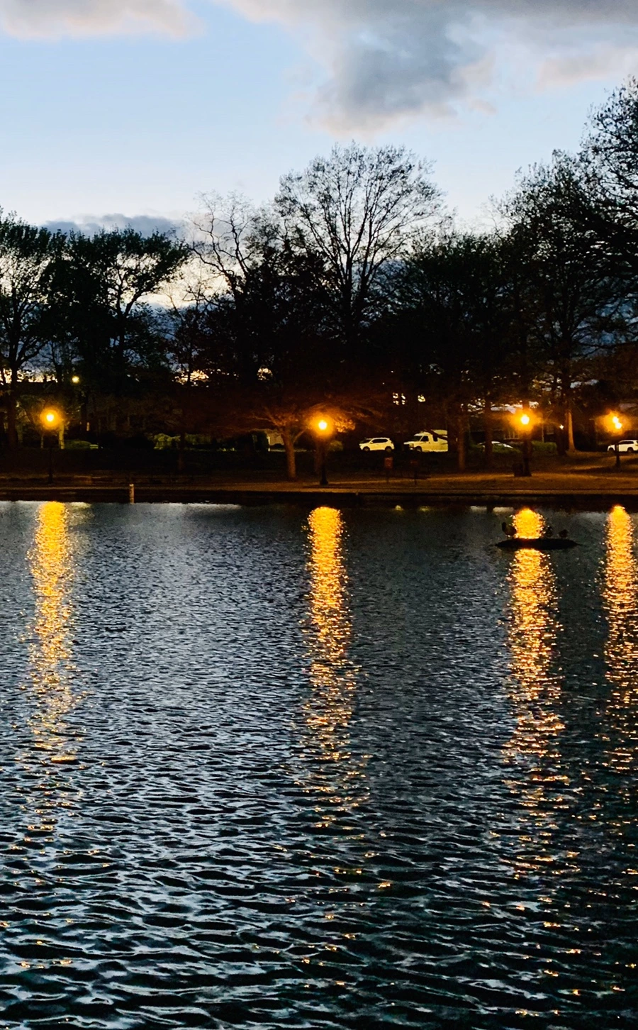 IMG_3678.jpg?type=w966