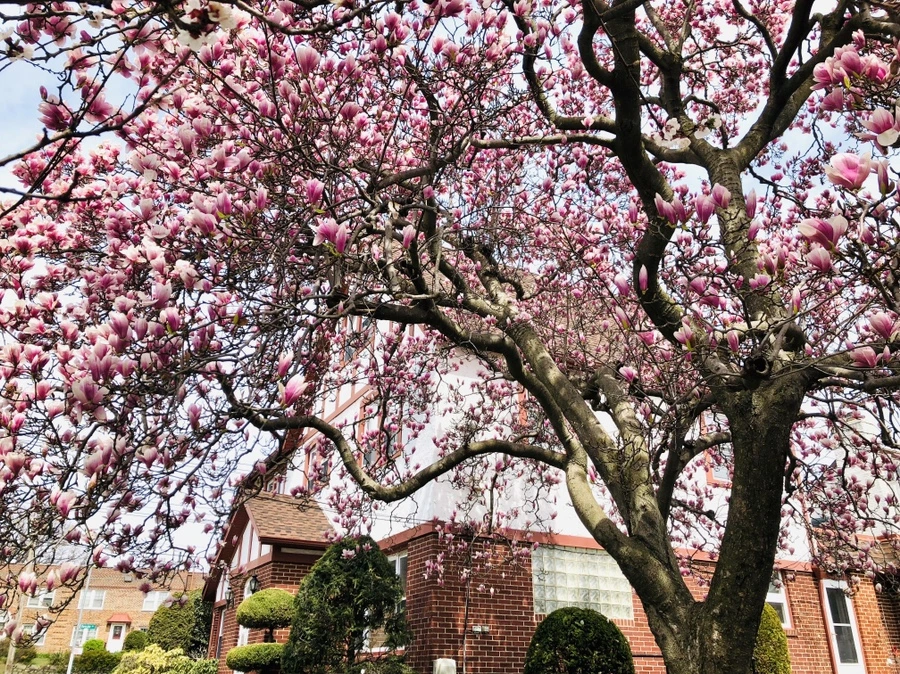 IMG_2823.jpg?type=w966