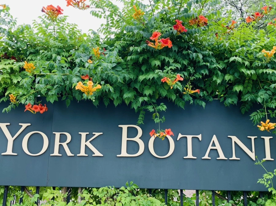 IMG_2358.jpg?type=w966