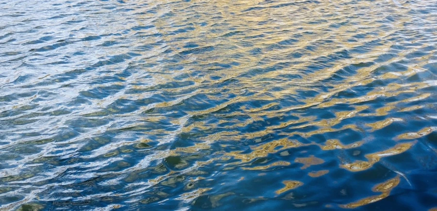 IMG_9183.jpg?type=w966