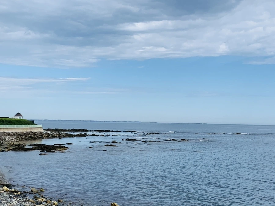 IMG_2744.jpg?type=w966