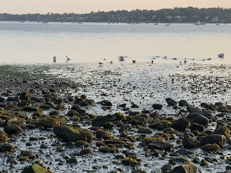 IMG_9787.jpg?type=w966