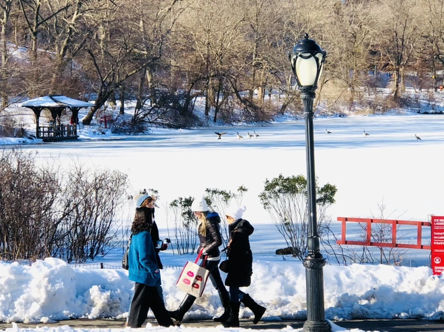 IMG_9826.jpg?type=w966