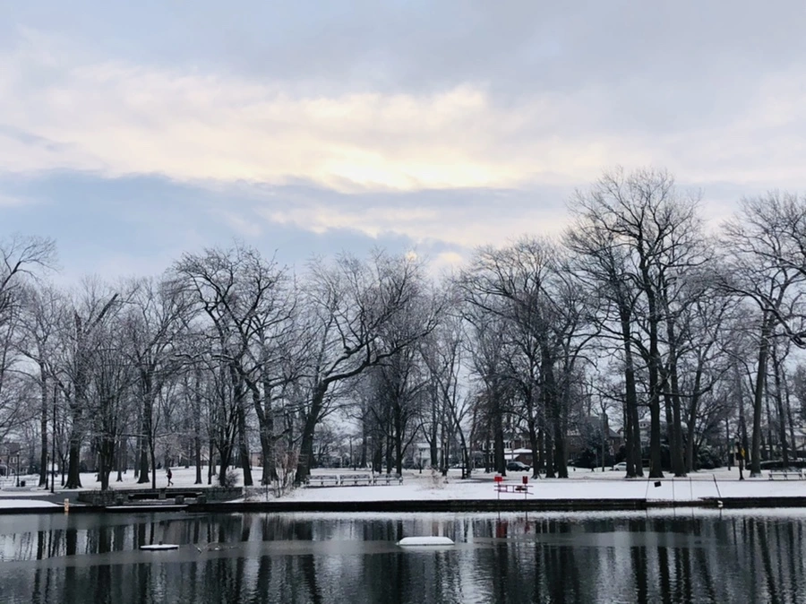 IMG_4528.jpg?type=w966