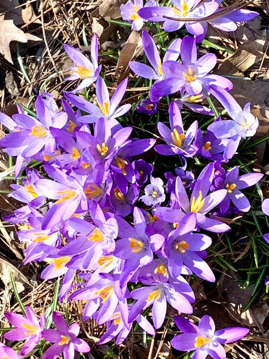 IMG_9769.jpg?type=w966