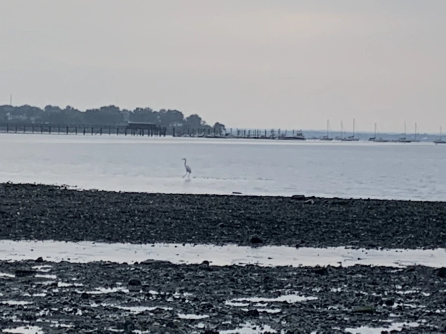 IMG_8182.jpg?type=w966