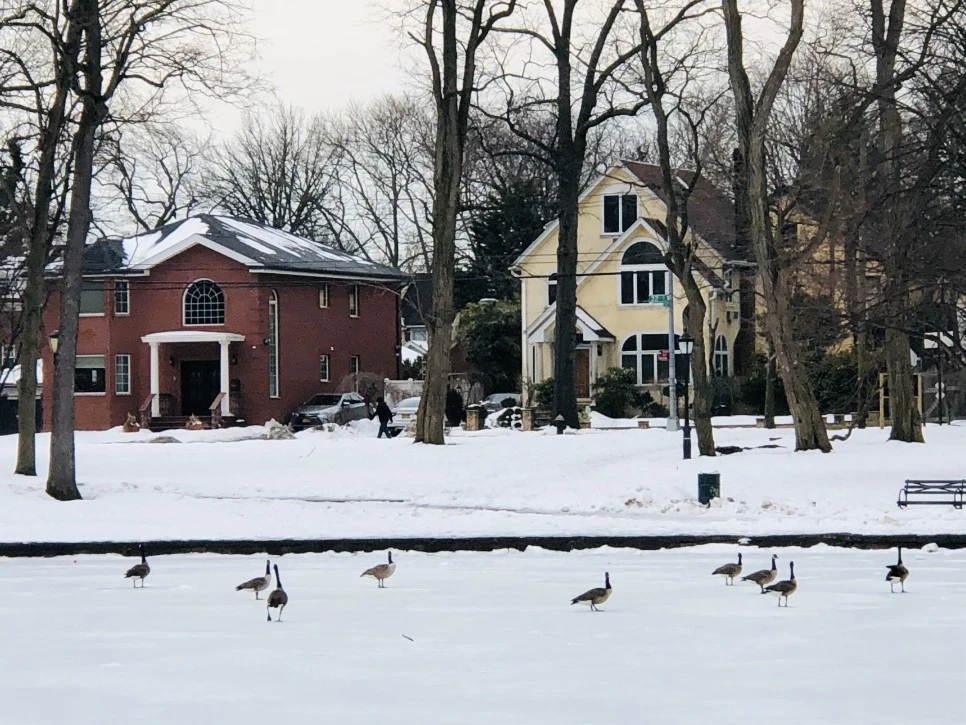 IMG_4471.jpg?type=w966