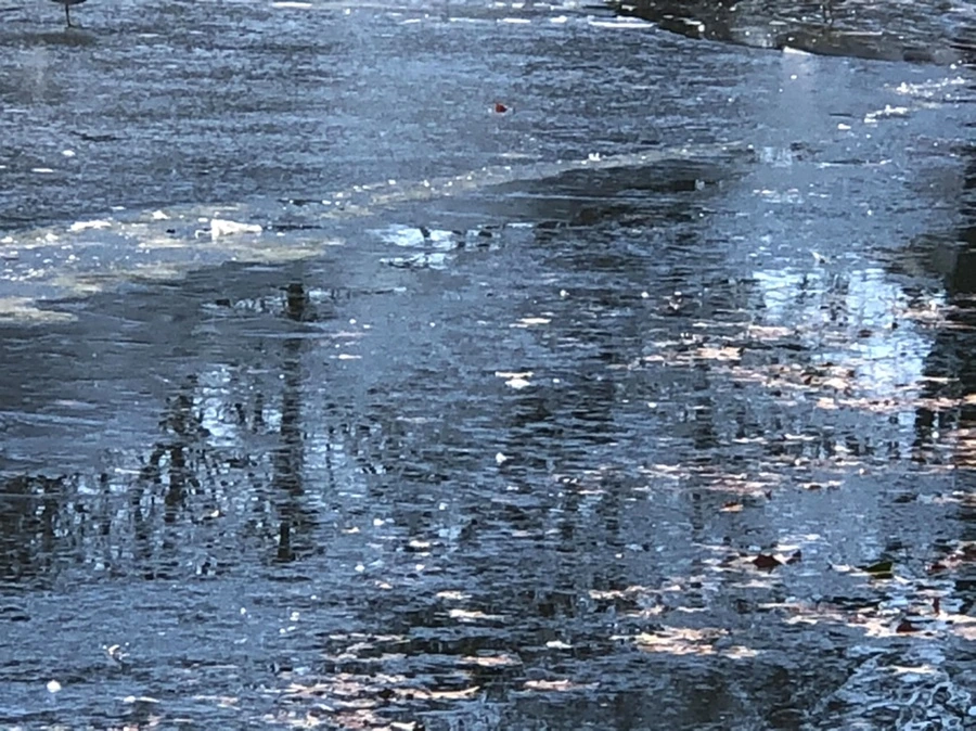 IMG_6619.jpg?type=w966