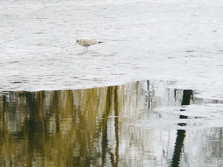 IMG_5480.jpg?type=w966