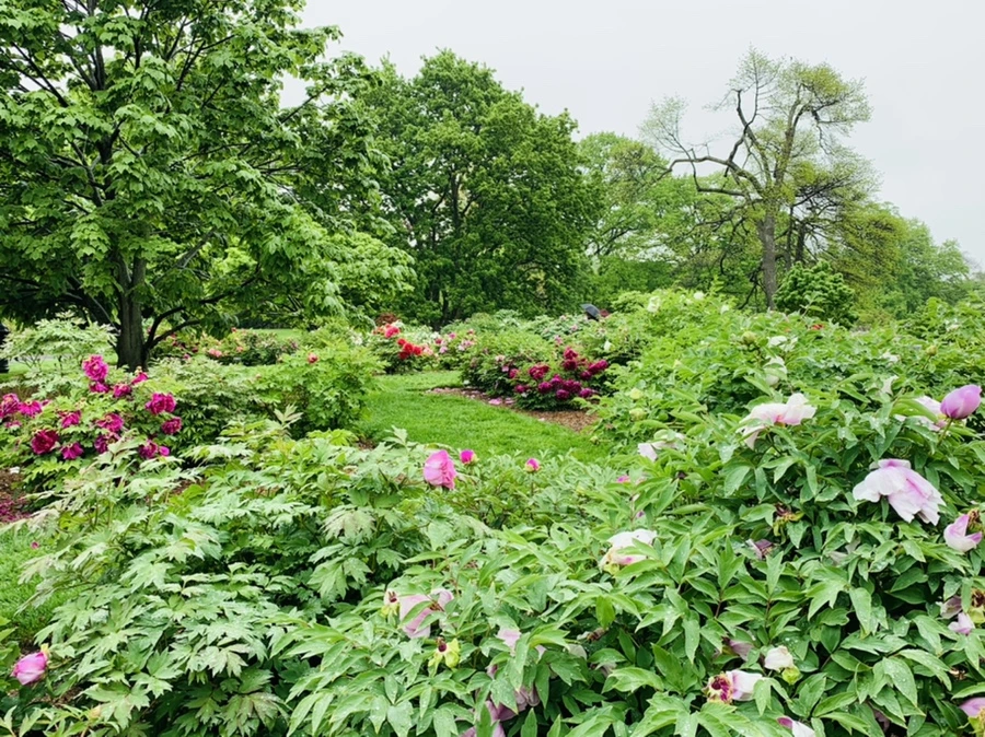 IMG_9988.jpg?type=w966