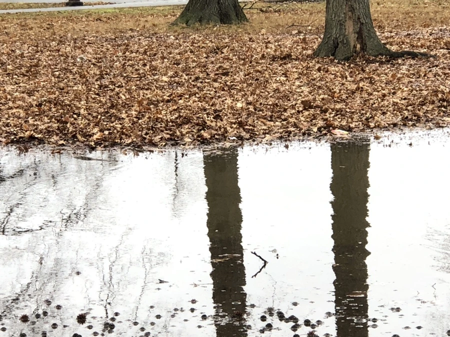 IMG_9507.jpg?type=w966