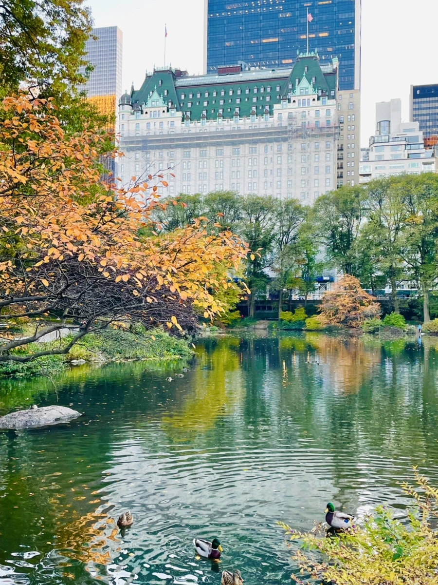 IMG_1499.jpg?type=w966