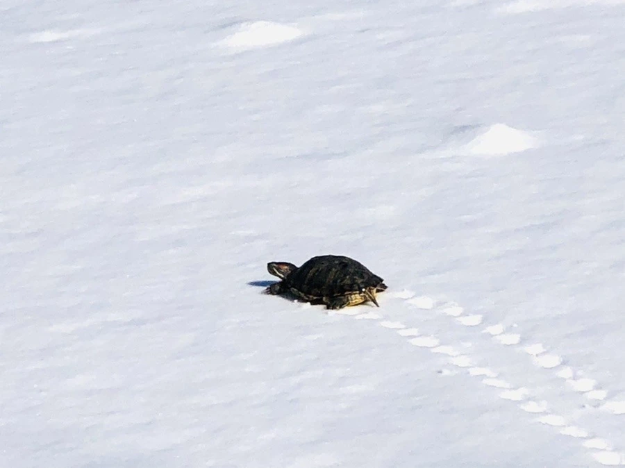 FhRedgNb7PUQWdKNL0Pe_ryx6uU