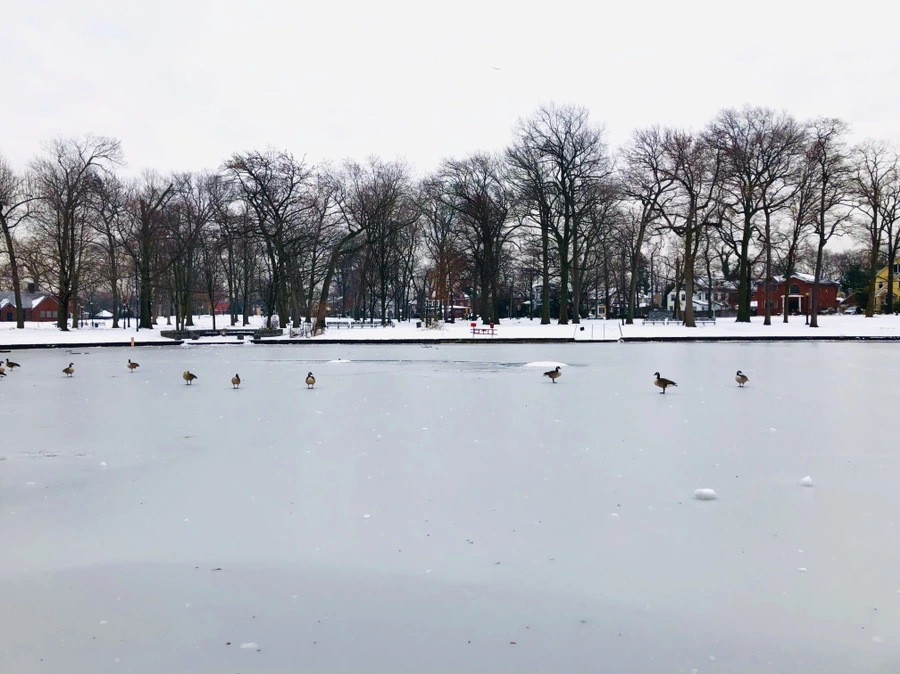 IMG_7558.jpg?type=w966