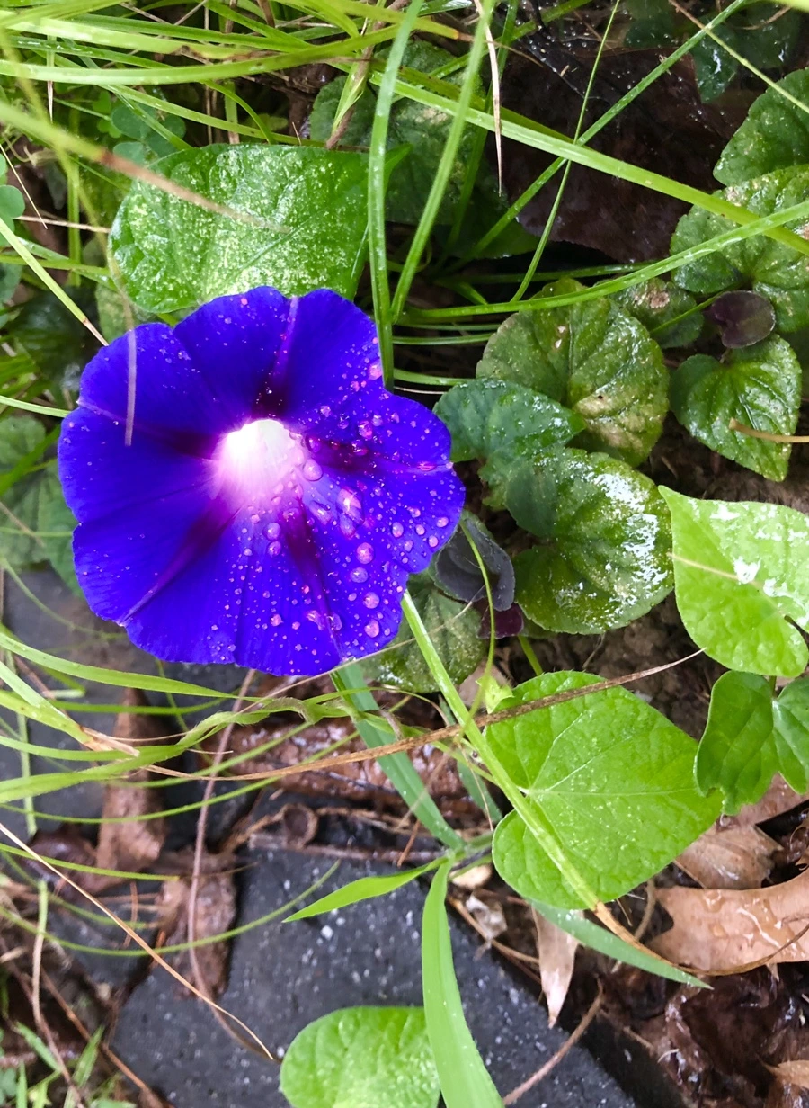 IMG_3334.jpg?type=w966