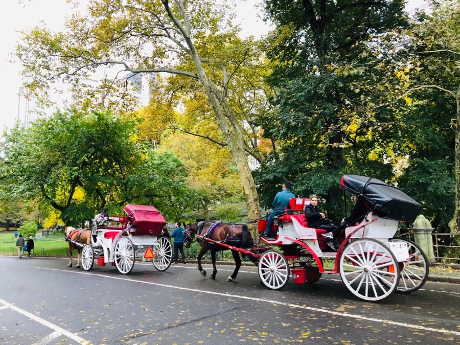 IMG_7263.jpg?type=w966