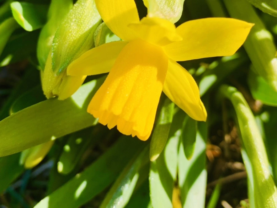 IMG_2571.jpg?type=w966