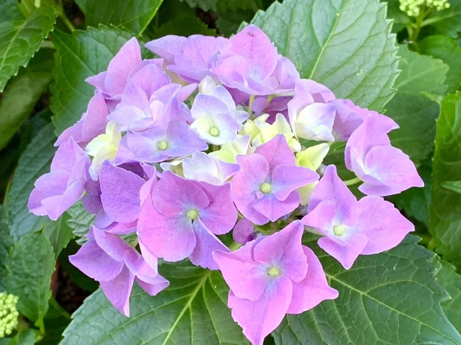 Tr3my85sHm6MhpCg-MFdtmqatwE