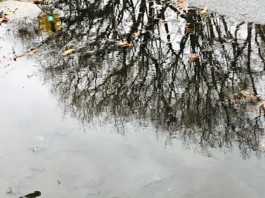 IMG_8148.jpg?type=w966