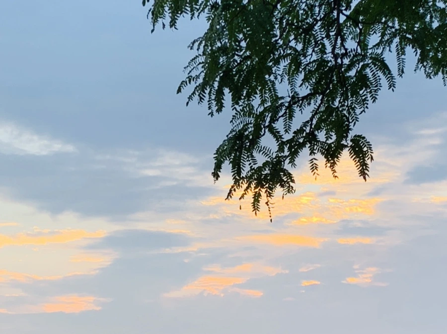 IMG_8214.jpg?type=w966