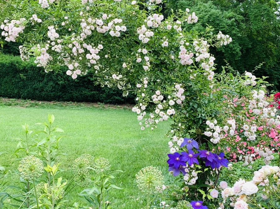 IMG_2927.jpg?type=w966