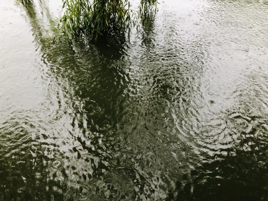 IMG_5092.jpg?type=w966