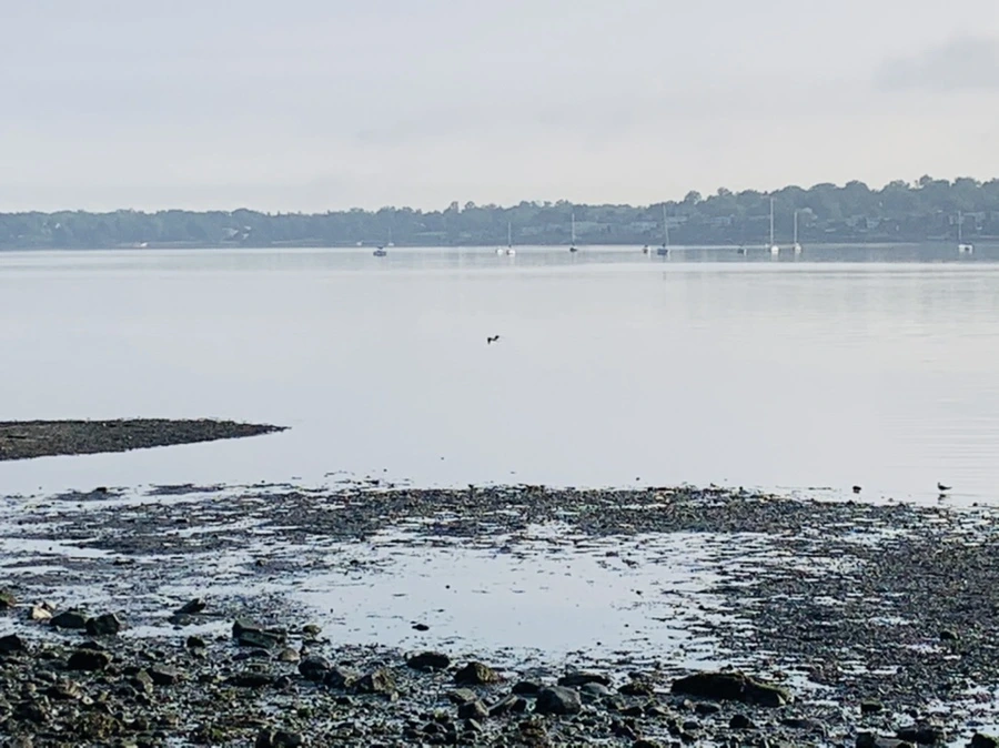 IMG_4371.jpg?type=w966