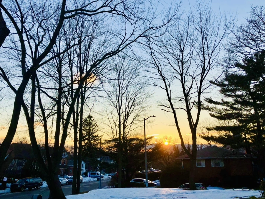 IMG_3043.jpg?type=w966