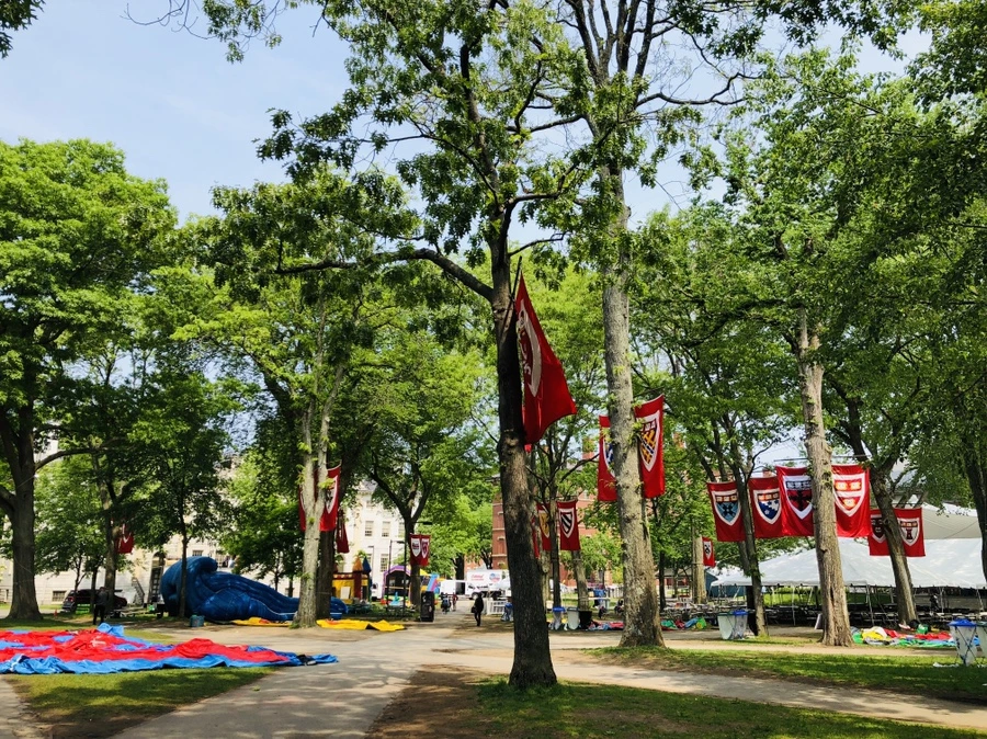 IMG_5466.jpg?type=w966