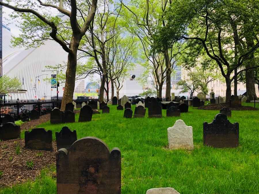 IMG_5697.jpg?type=w966