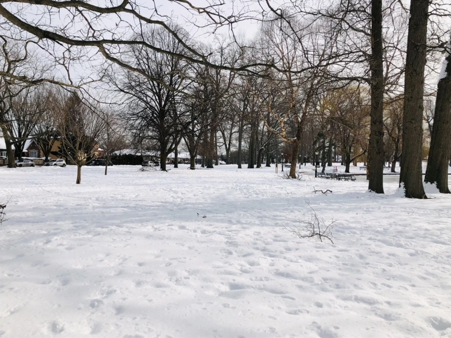 IMG_1712.jpg?type=w966