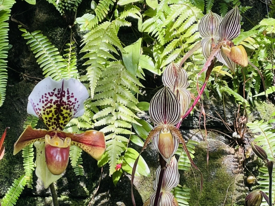 IMG_4475.jpg?type=w966