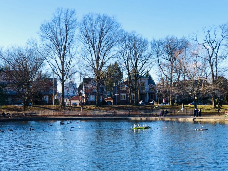 IMG_9266.jpg?type=w966