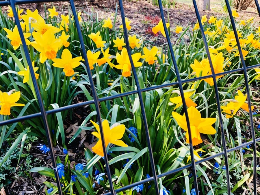 IMG_6627.jpg?type=w966