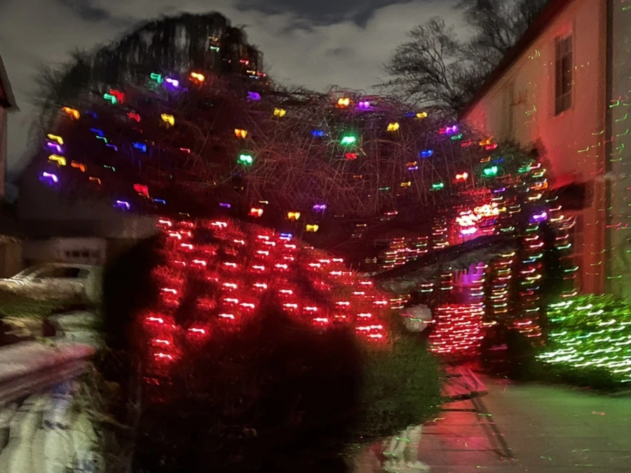 IMG_7563.jpg?type=w966