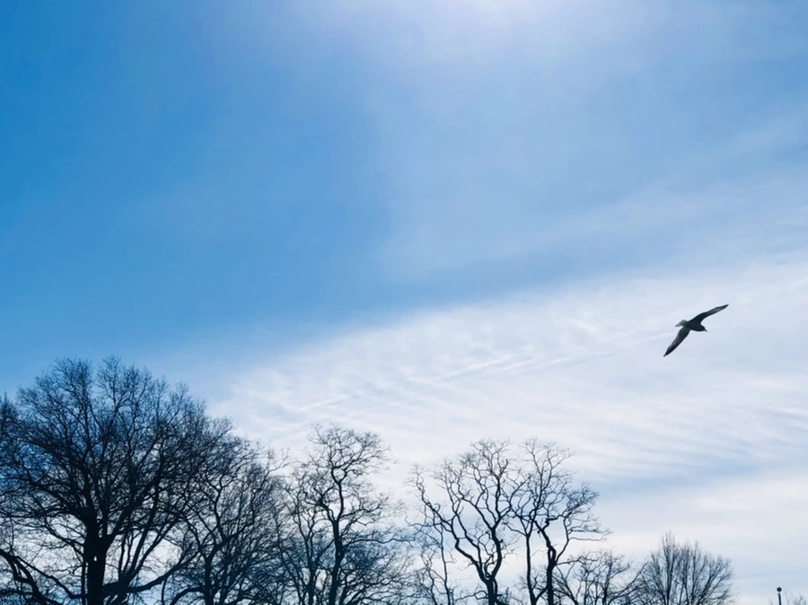 IMG_5417.jpg?type=w966