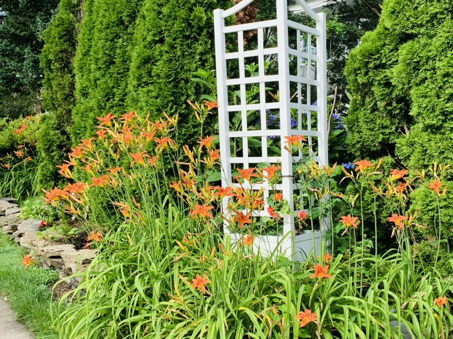 IMG_7337.jpg?type=w966