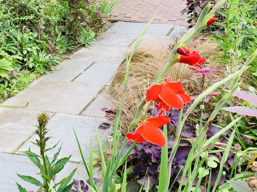 IMG_9426.jpg?type=w966