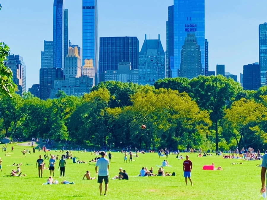 IMG_7657.jpg?type=w966