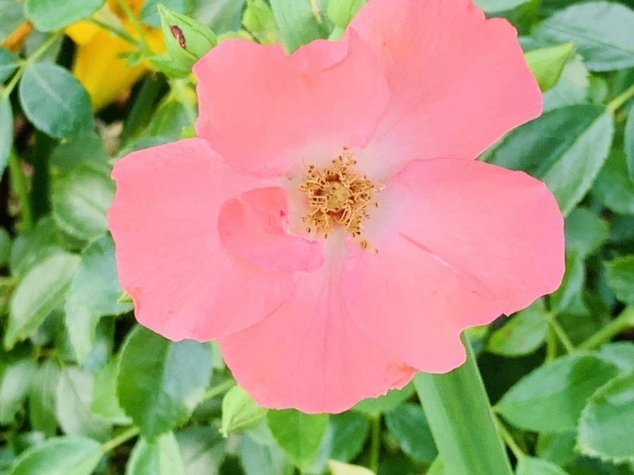 QW3bK8ATexvOgufJ6kBzvoysDFs