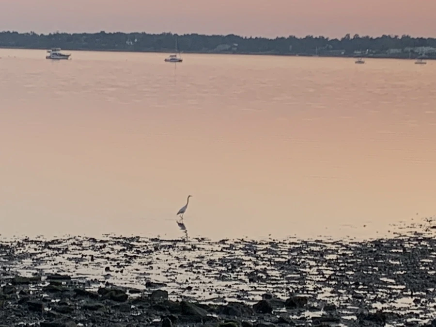 IMG_0060.jpg?type=w966