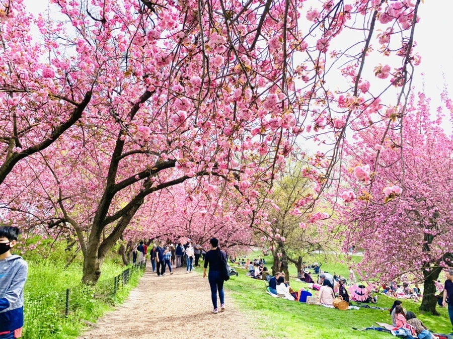 IMG_5196.jpg?type=w966