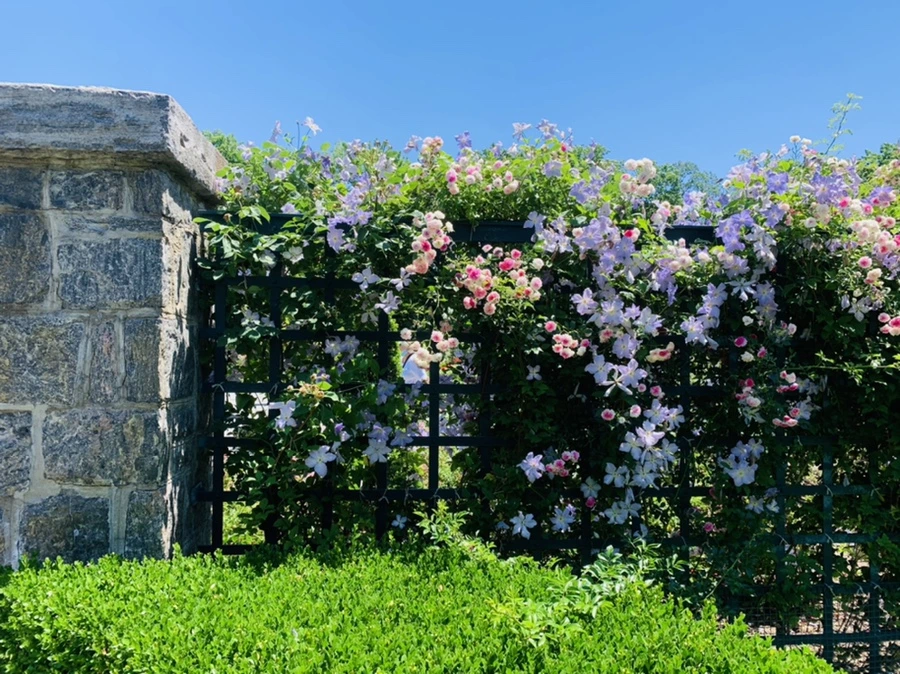 IMG_4179.jpg?type=w966