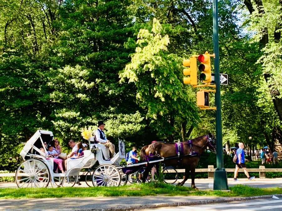 IMG_4527.jpg?type=w966