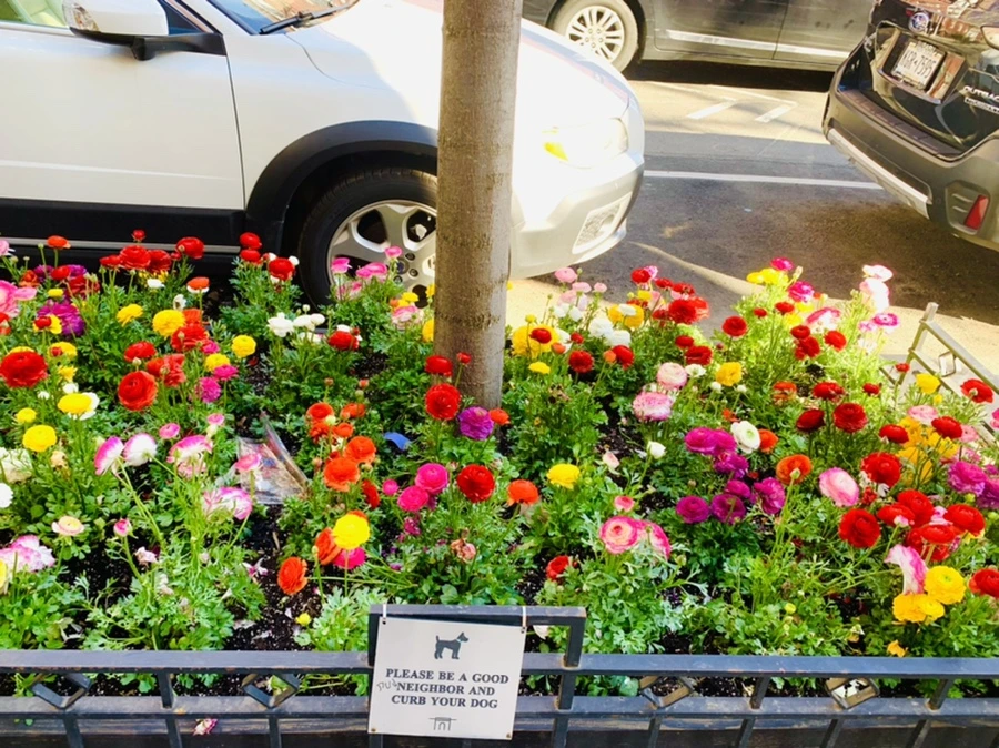 IMG_5393.jpg?type=w966