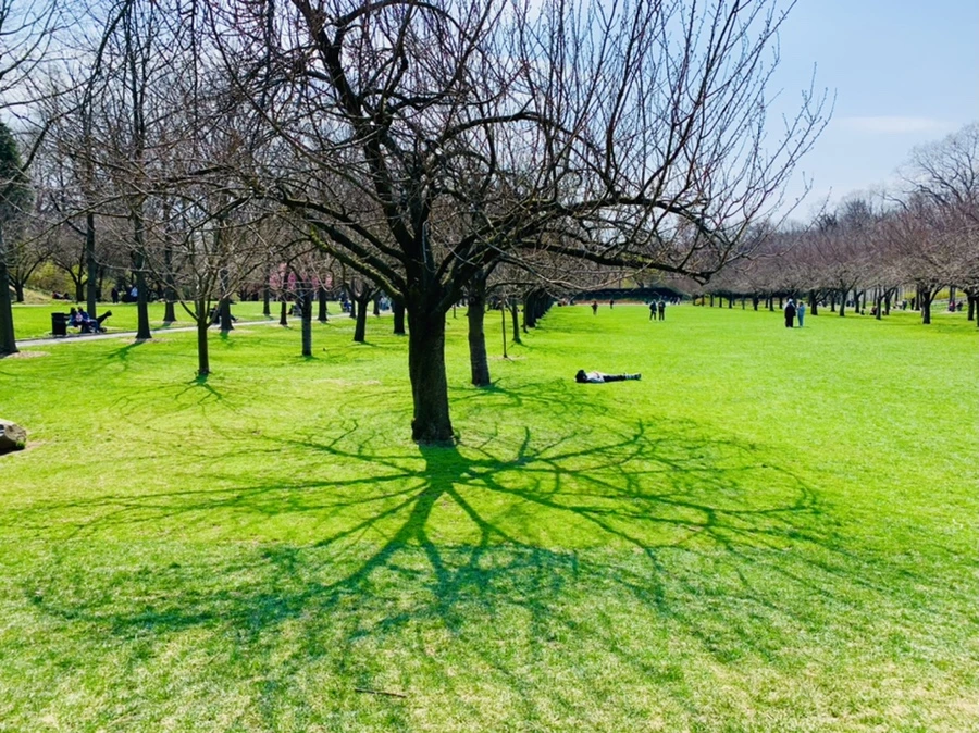 IMG_7351.jpg?type=w966