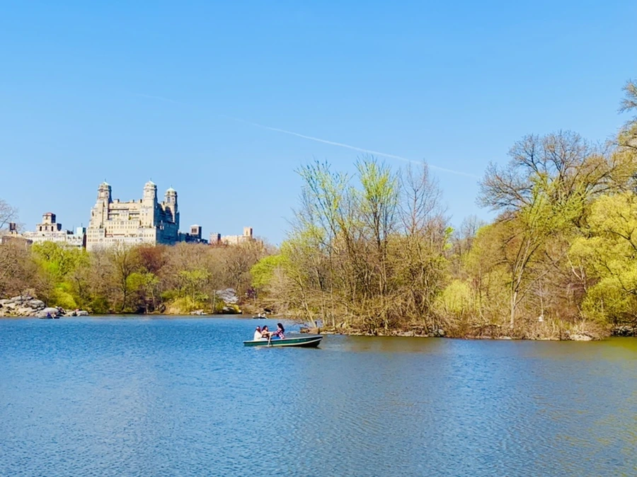 IMG_8990.jpg?type=w966